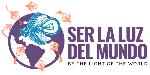 sel la luz del mundo